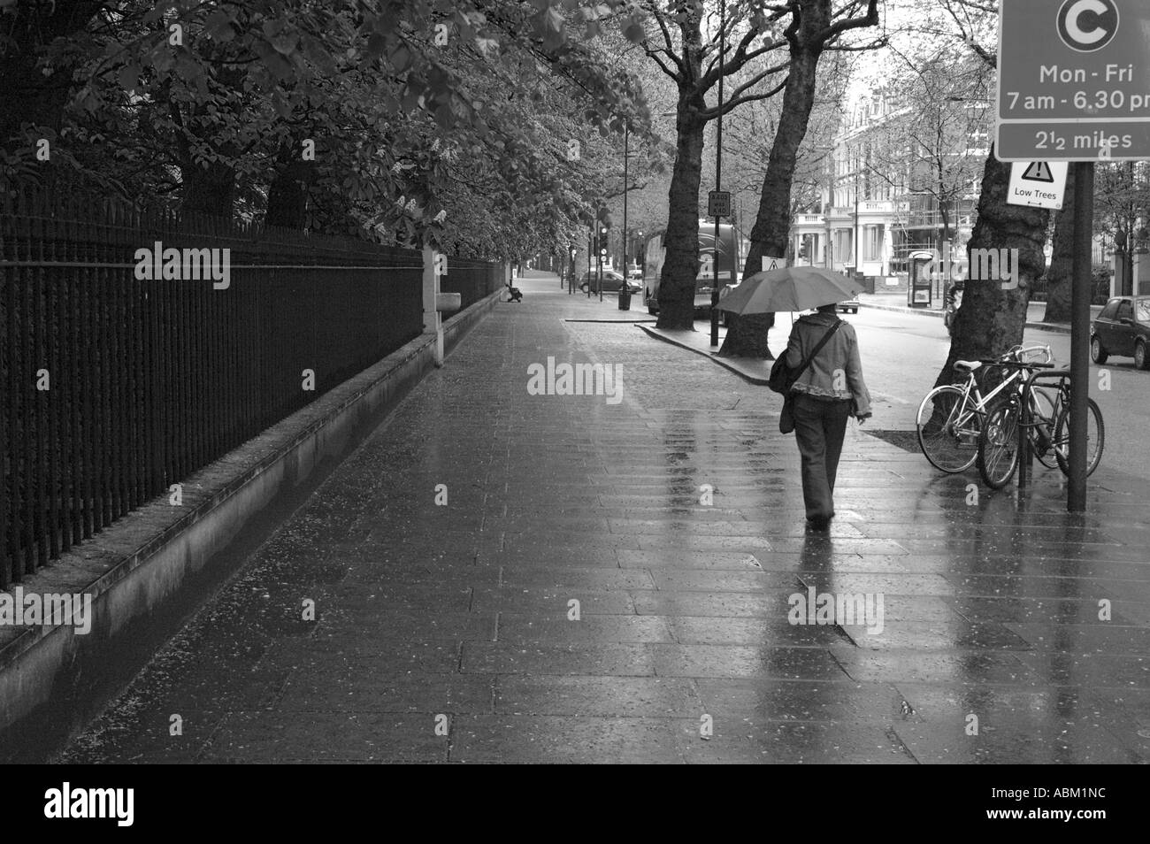 Femme de pluie en Holland Park Road West Kensington London England Angleterre UK Europe Banque D'Images