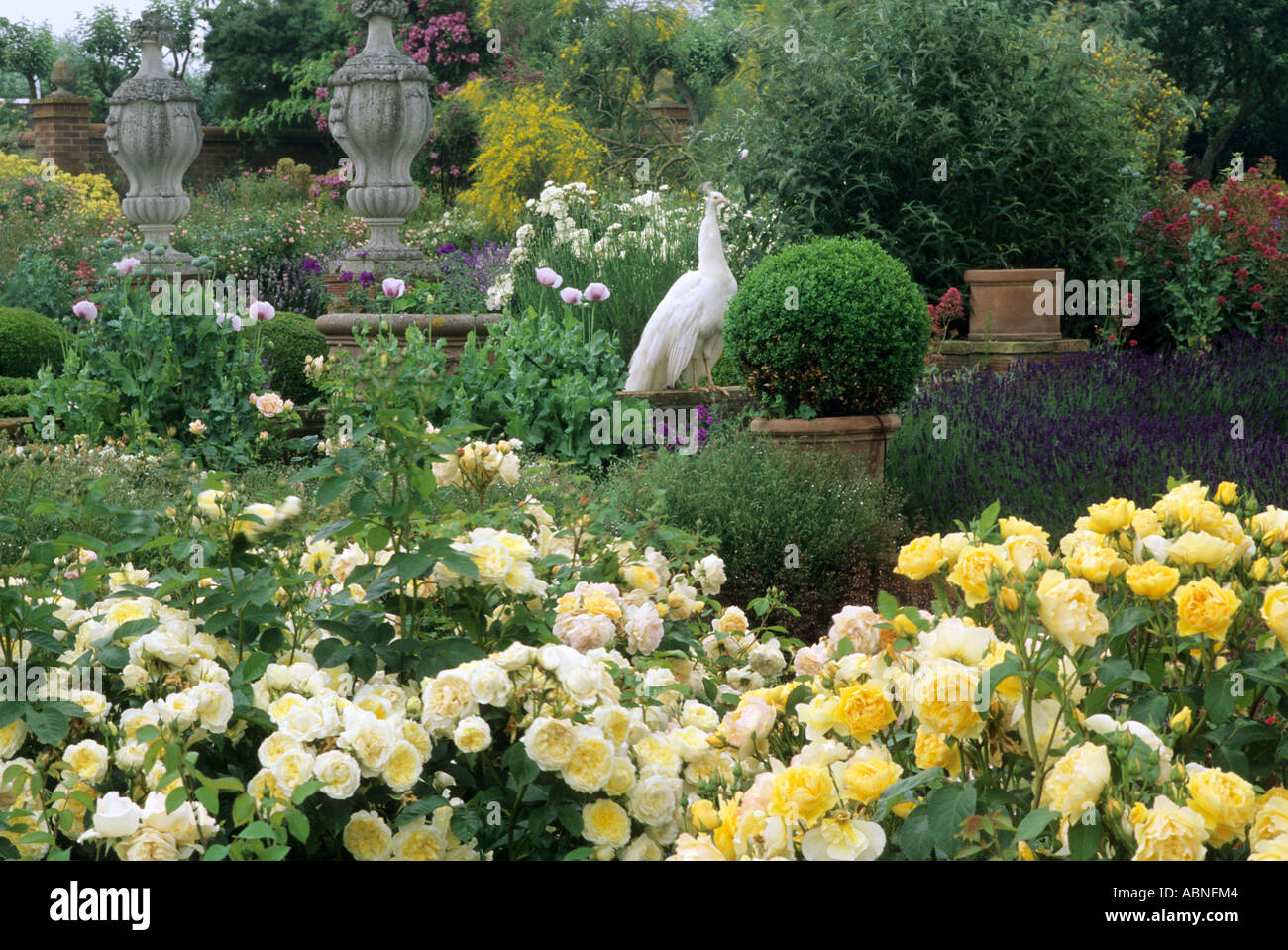 Électrique Hill roses ornements en pierre rose paon paon paons ornement jardin jardins Banque D'Images