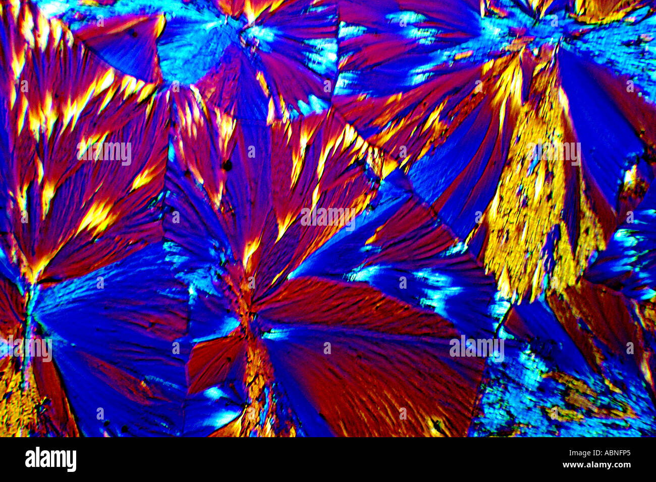 Le ferricyanure plus Pottasium Perchlorure de cristaux mixtes. Banque D'Images