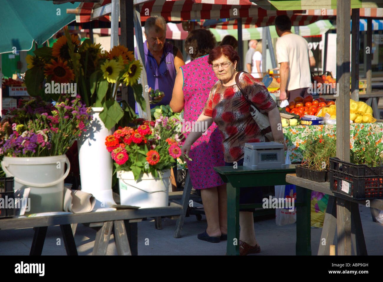 Koper Slovénie Primorska street market Istra Capodistria Capo d'Istria Istra Istrie slovène à l'est l'Europe de l'Est Banque D'Images