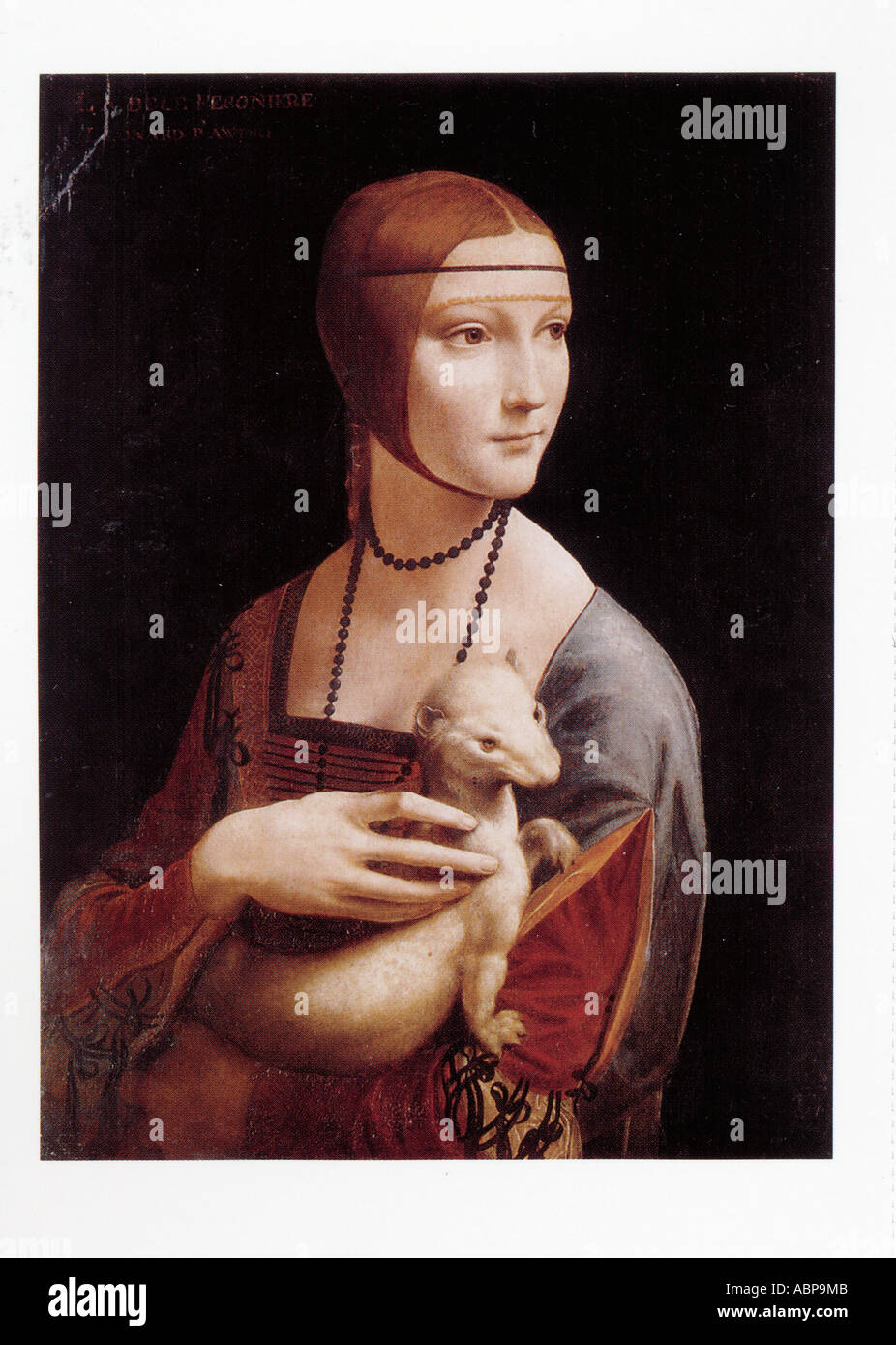Portrait de Cecilia Gallerani (dame à l'Hermine) ca. 1490 huile sur bois par Leonardo da Vinci 1452-1519 Banque D'Images