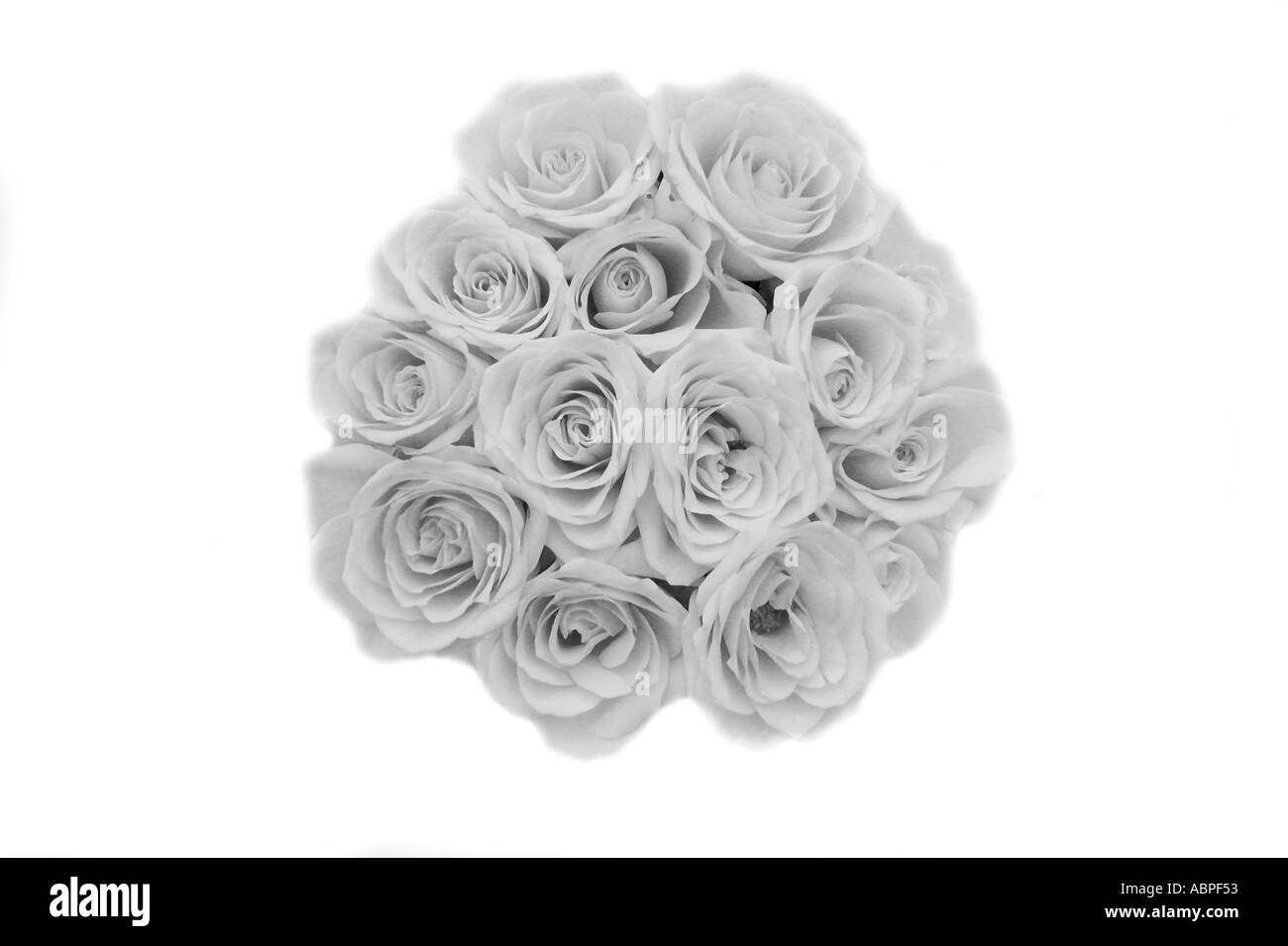 bouquet de roses Banque D'Images