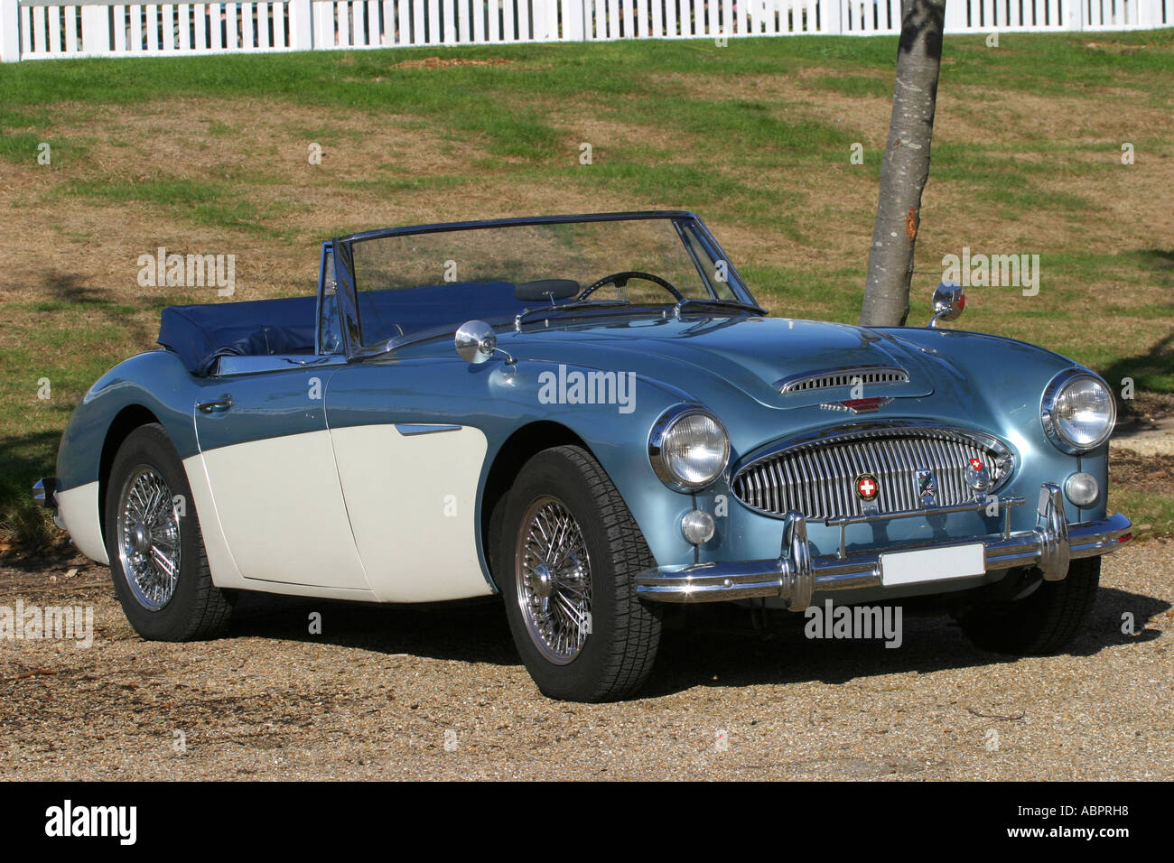 Austin Healy à Goodwood Motor Circuit, Sussex, Angleterre. Banque D'Images