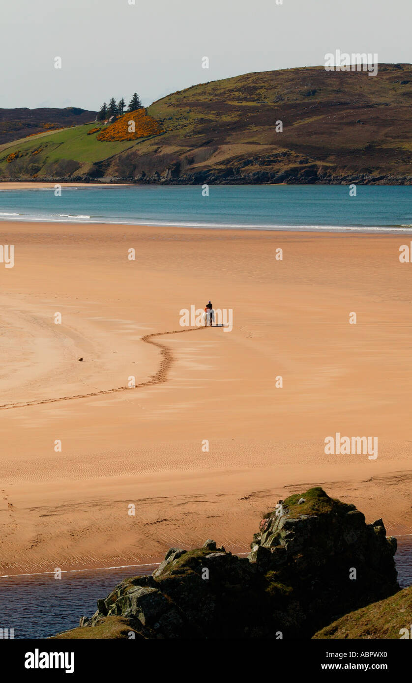 Deux cavaliers à cheval sur la plage de la baie de Torrisdale Sutherland, Highlands, Scotland UK Europe du Nord Banque D'Images