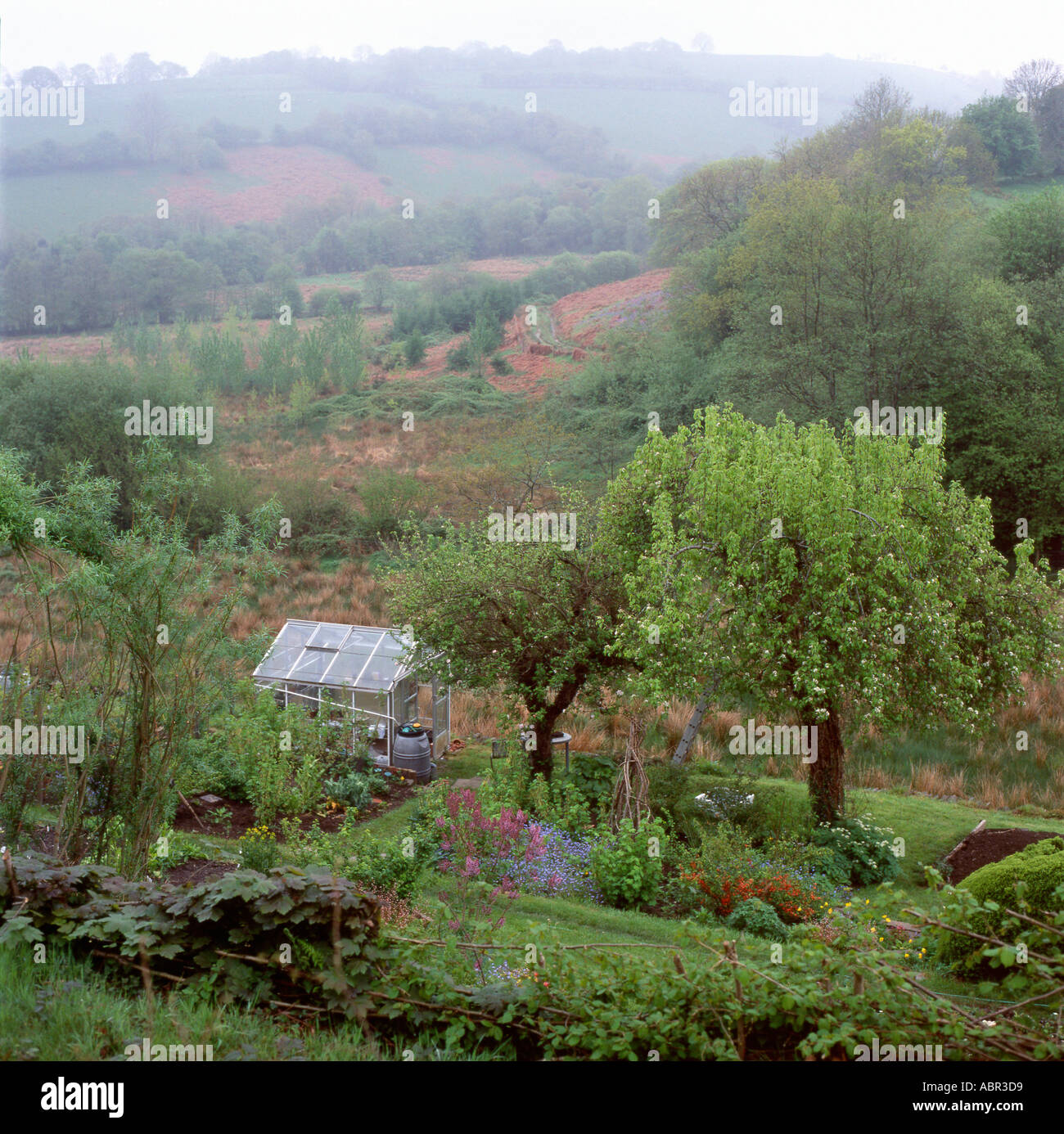 Potager rural dans Carmarthenshire Wales UK KATHY DEWITT Banque D'Images