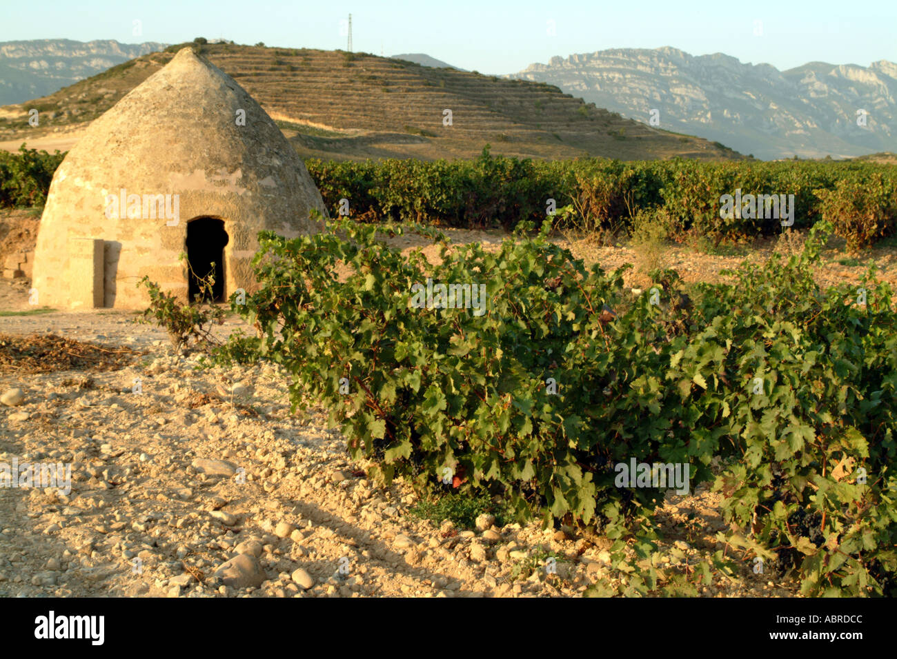La vigne et du vin Rioja dome le nord de l'Espagne Banque D'Images