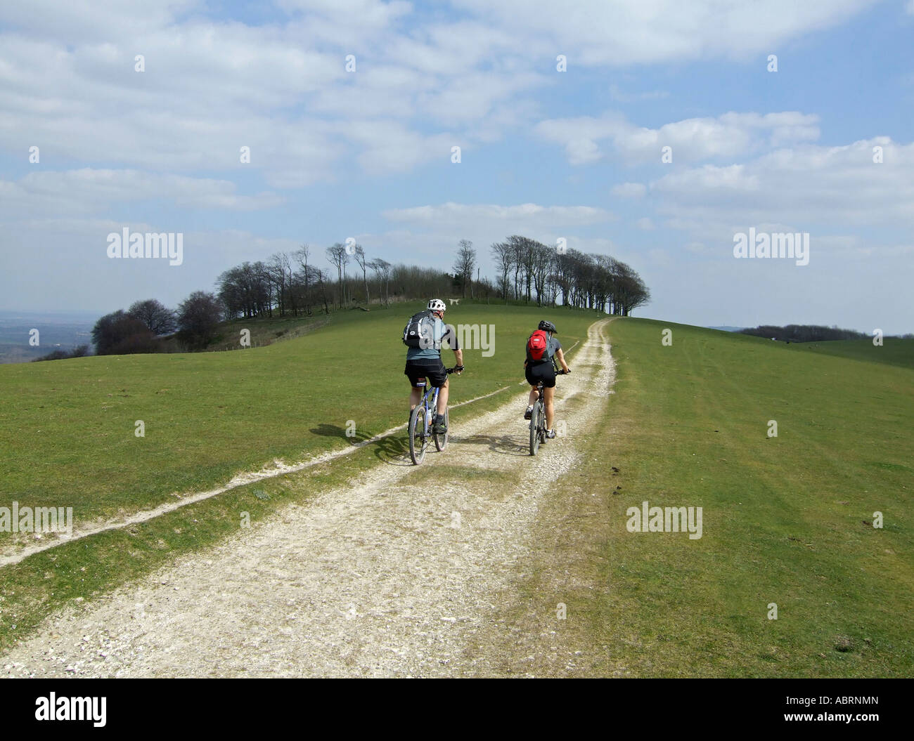 Randonnée à vélo les South Downs Way, à Chanctonbury Ring, West Sussex, Angleterre, Royaume-Uni. Banque D'Images