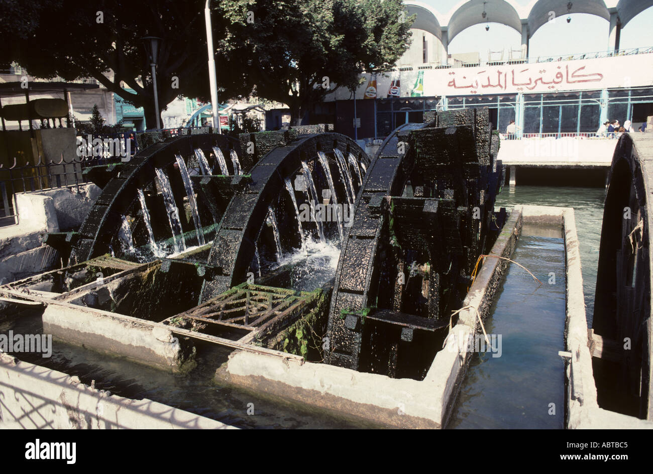 Les roues de l'eau pour l'irrigation des champs et vergers Fayoum Egypte Banque D'Images