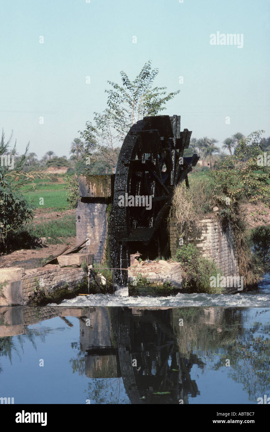Roue de l'eau pour l'irrigation des champs et vergers Fayoum Egypte Banque D'Images
