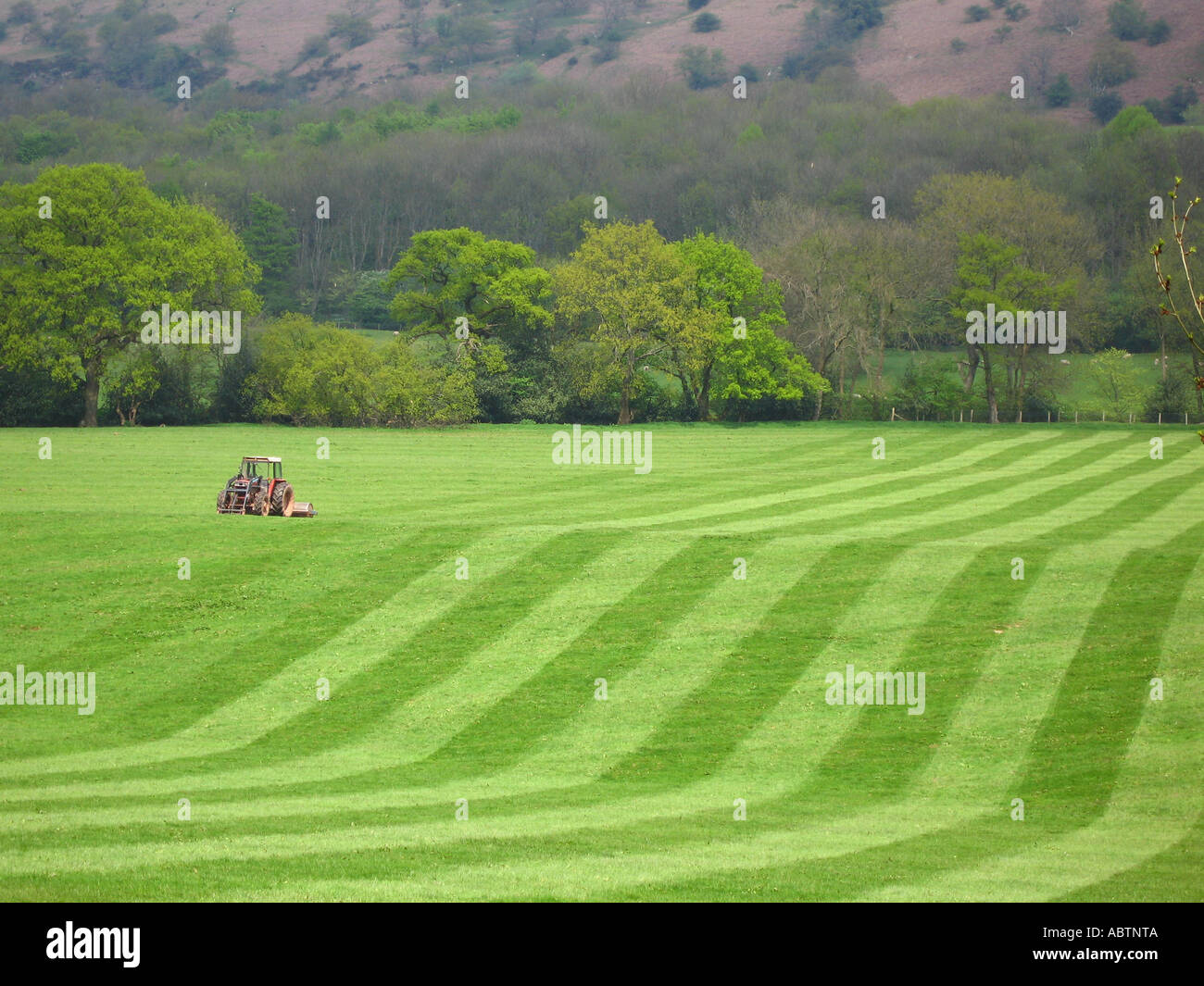 L'agriculture près de Llanthony Vale of Ewyas Montagnes Noires Monmouthshire South East Wales Banque D'Images