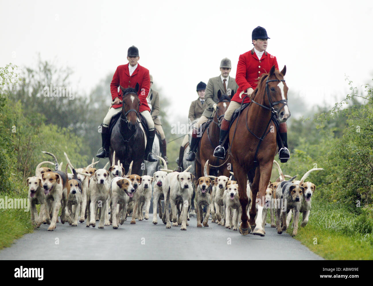 Le Ledbury Hunt dans le Gloucestershire UK revient d'un matin de chasse fox s Banque D'Images