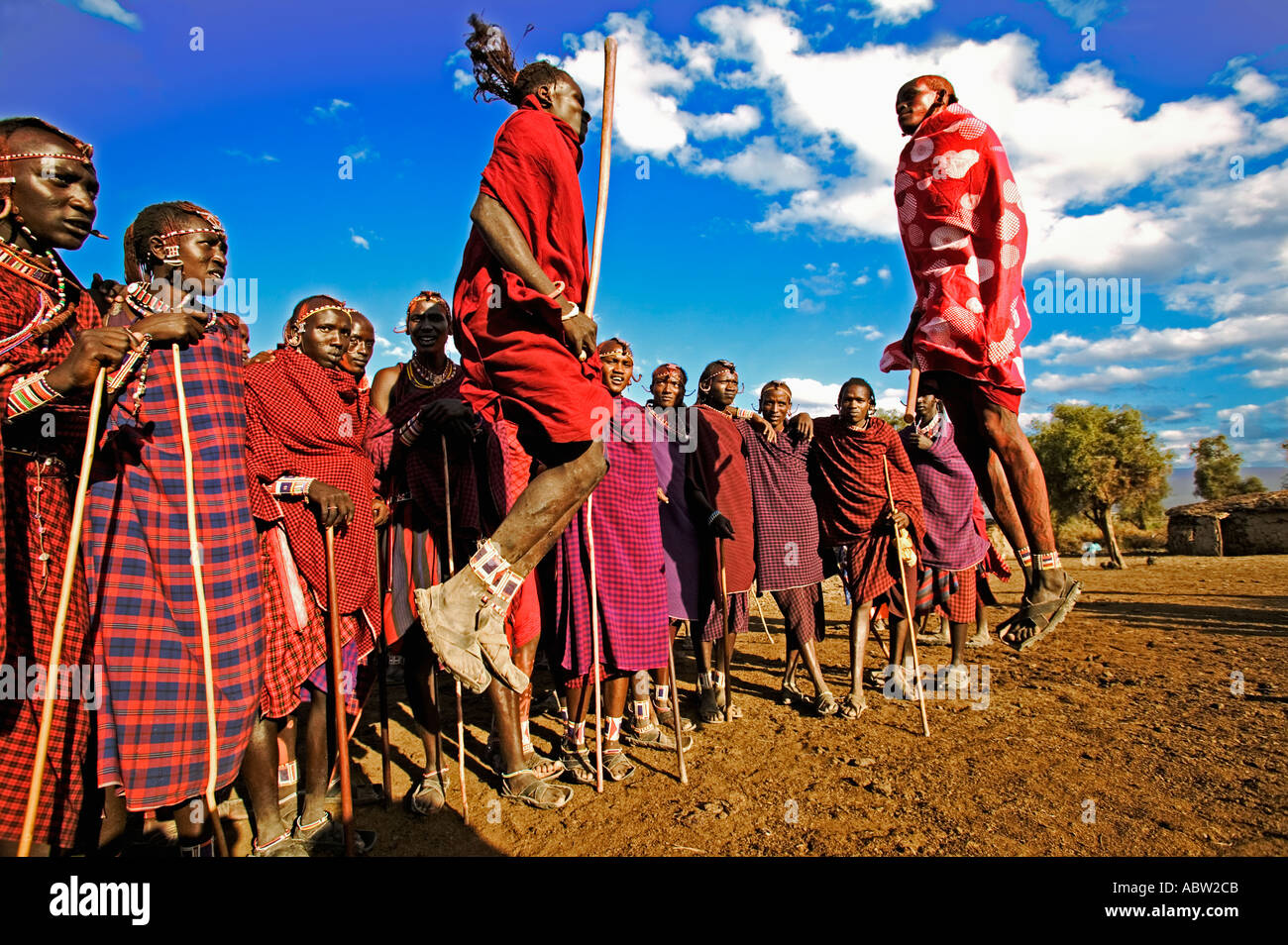 Guerrier massaï danse saut saut dans l'air de faire preuve de vigueur et d'agilité au Kenya Banque D'Images