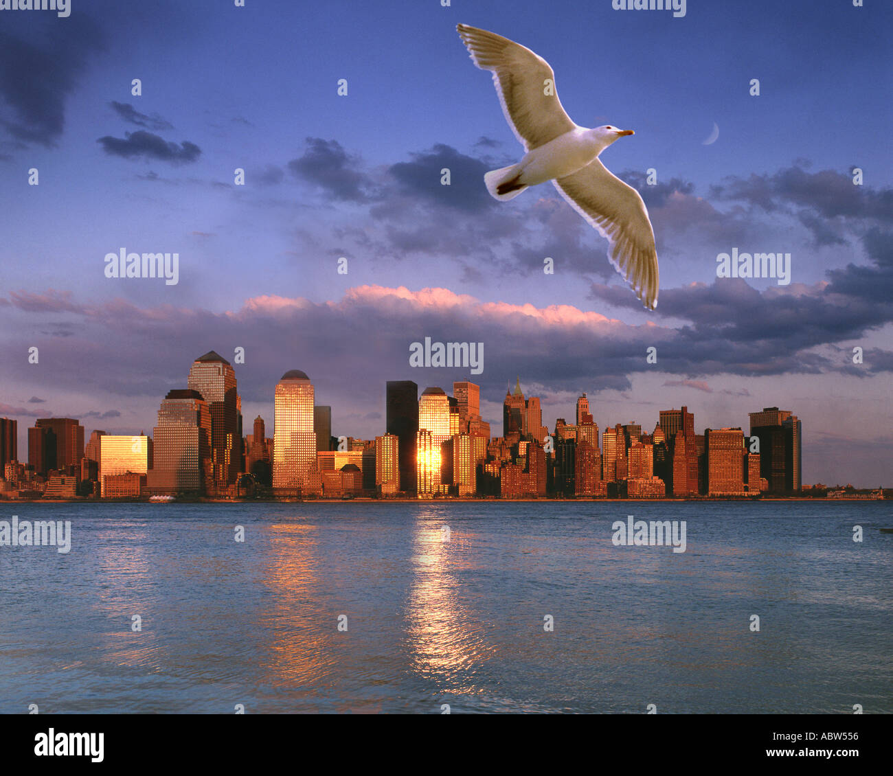 USA - NEW YORK : Manhattan skyline Banque D'Images