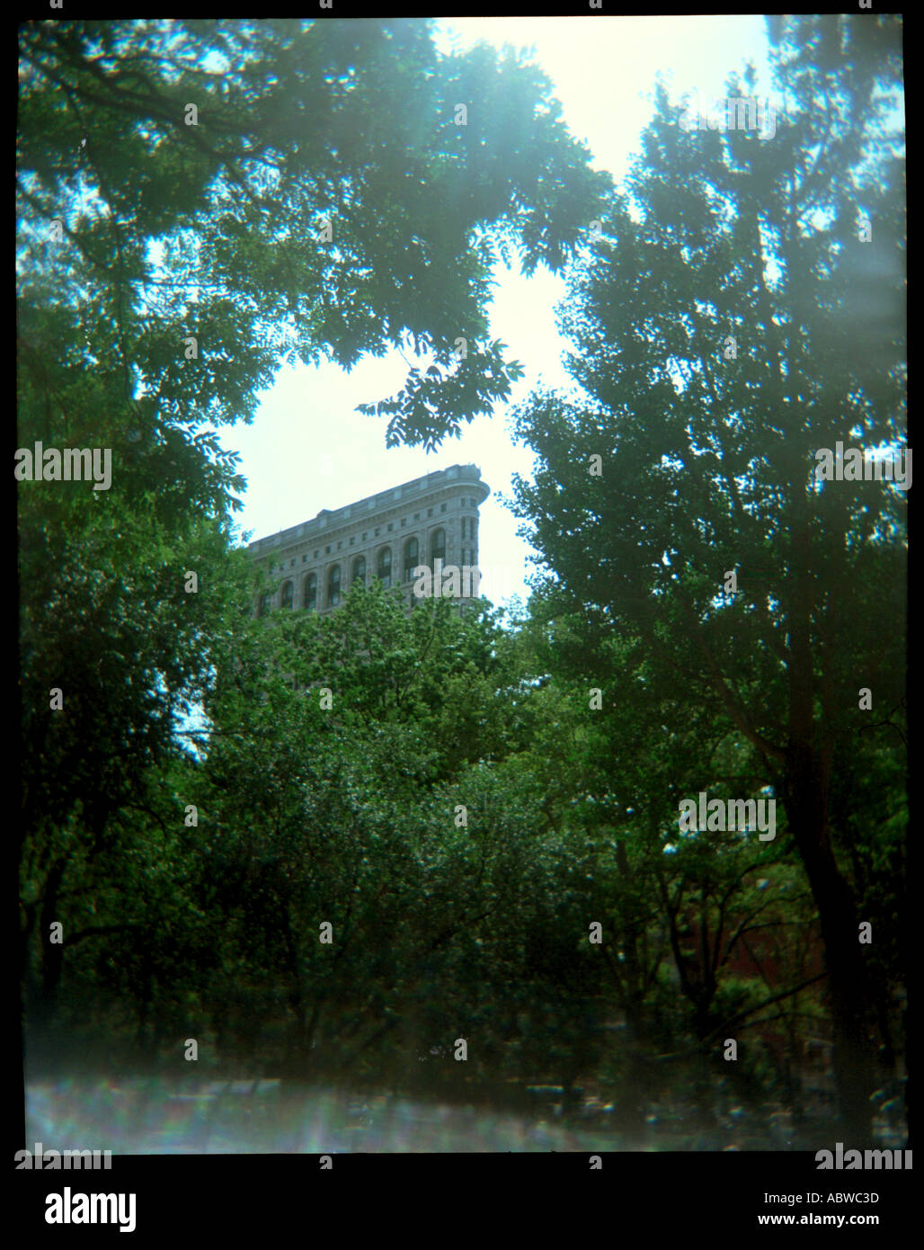 Un bâtiment dans le Madison Square Park, New York, entouré par des arbres. Banque D'Images