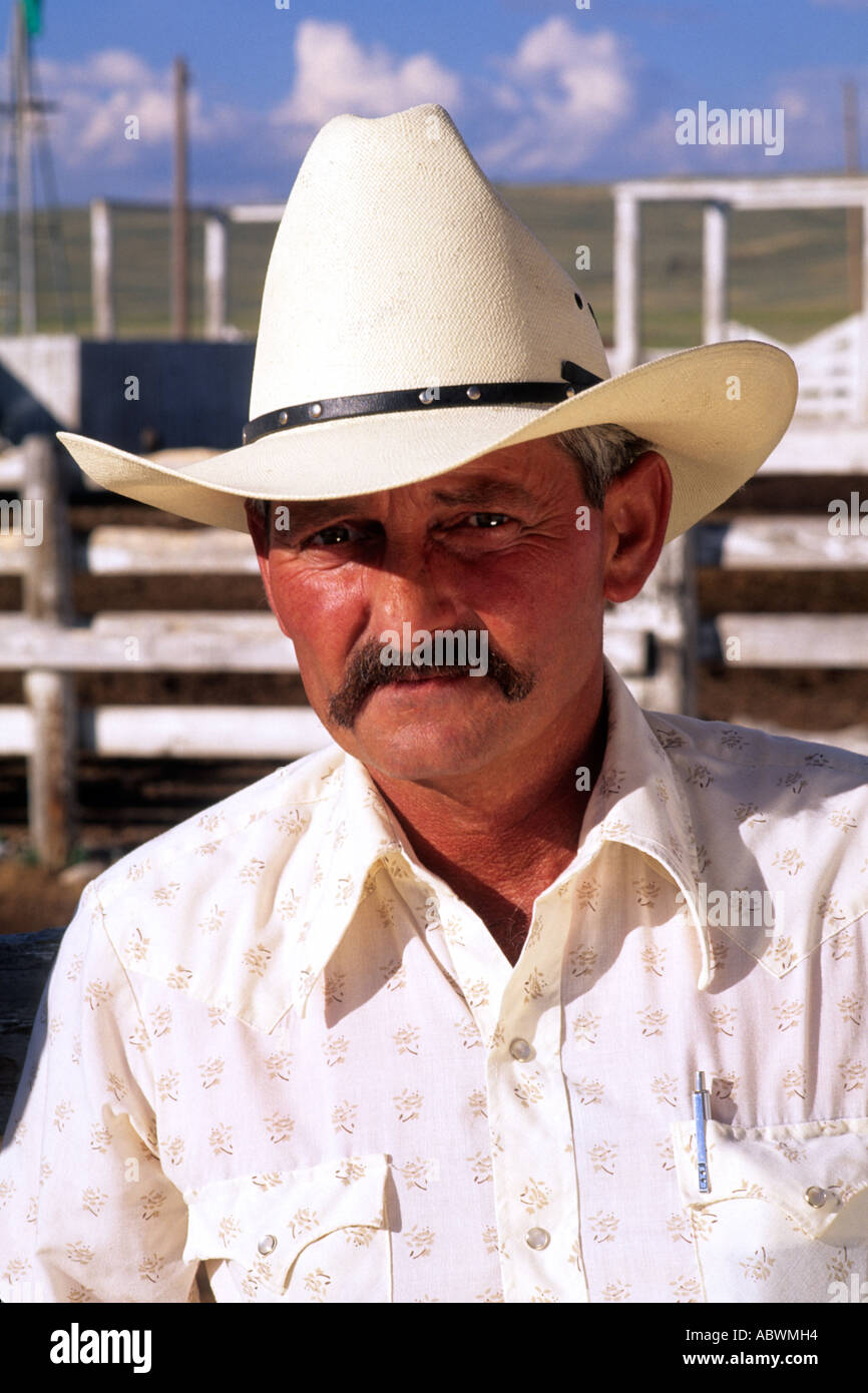 Portrait de Cowboy de vie occidental dans le Wyoming USA Banque D'Images