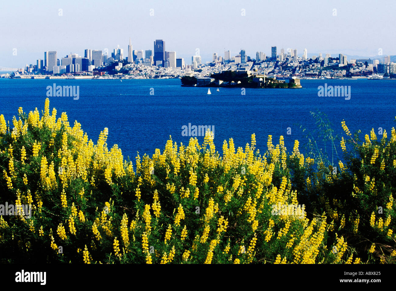 La Californie, San Francisco Bay, San Francisco d'Angel Island State Park Banque D'Images