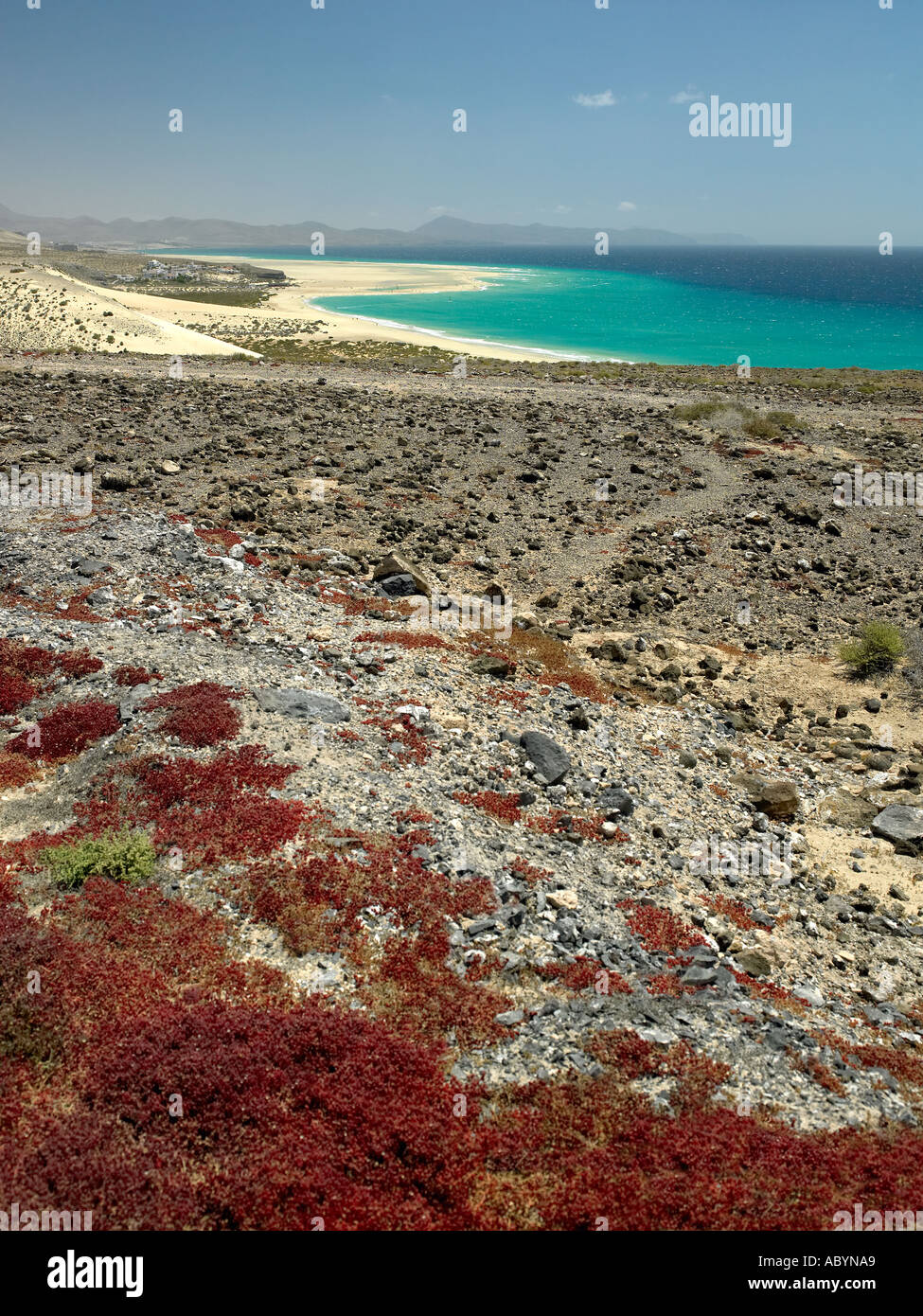 Playa de Jandia, sur l'île de Fuerteventura, dans les îles canaries Banque D'Images