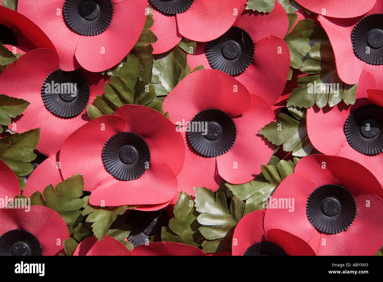 Coquelicots dans gerbe au Monument commémoratif de guerre Samatan Pays de Galles UK Banque D'Images