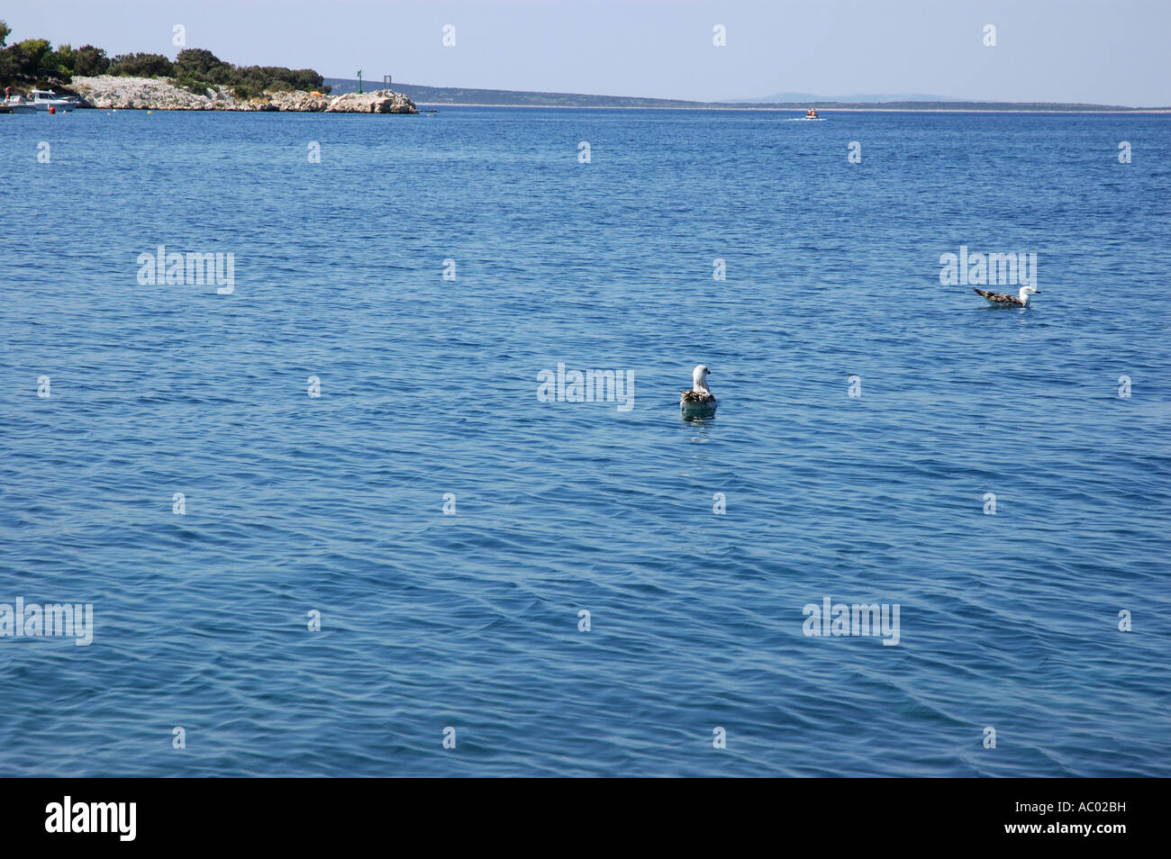 Simuni l''île de Pag Dalmatie Croatie Ancienne ex-Yougoslavie Pago Dalmacija Bafile 201 Croatie Hrvatska Kroatien Moyen-orient Europe de l'Est Banque D'Images