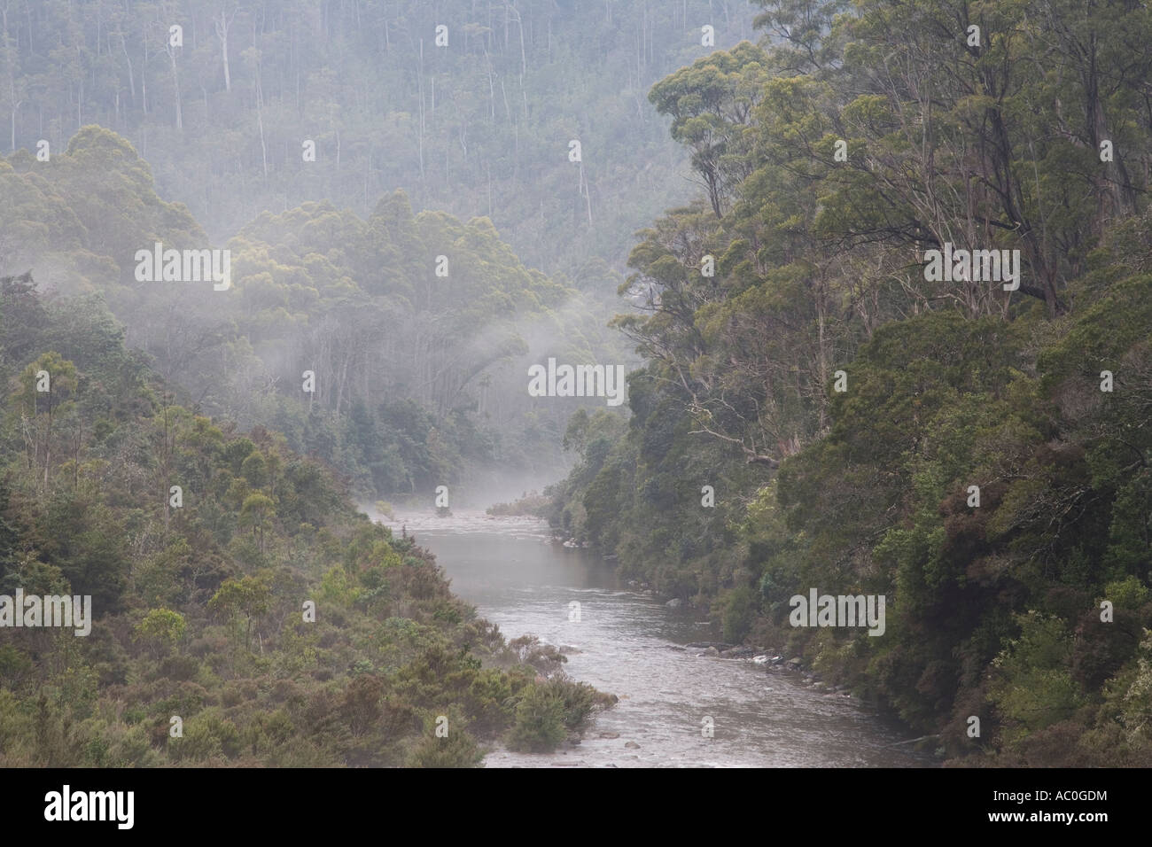 Le Mersey fait son chemin à travers la forêt pluviale tempérée sur la route de Strahan dans l'ouest de la Tasmanie Banque D'Images