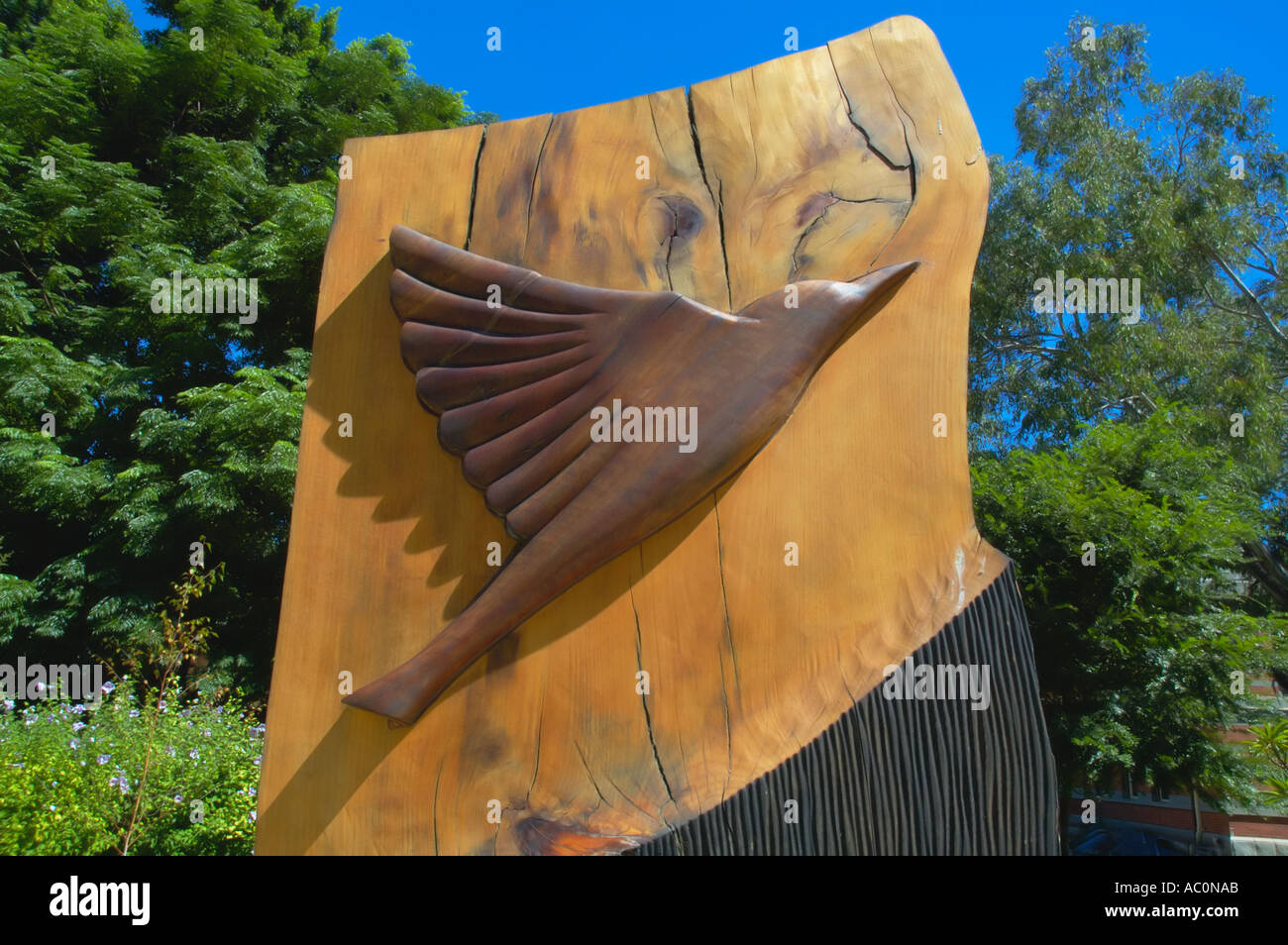 L'ouest de l'Australie Perth haut relief sculpté d'oiseaux dans le bois Banque D'Images