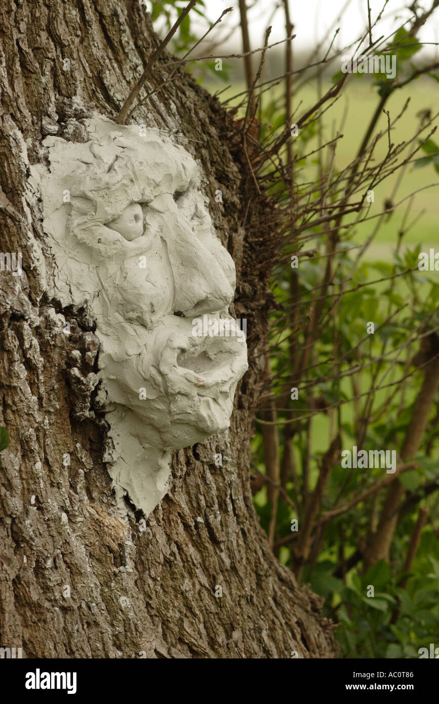 Masque d'argile et joint à tronc de chêne centenaire Banque D'Images