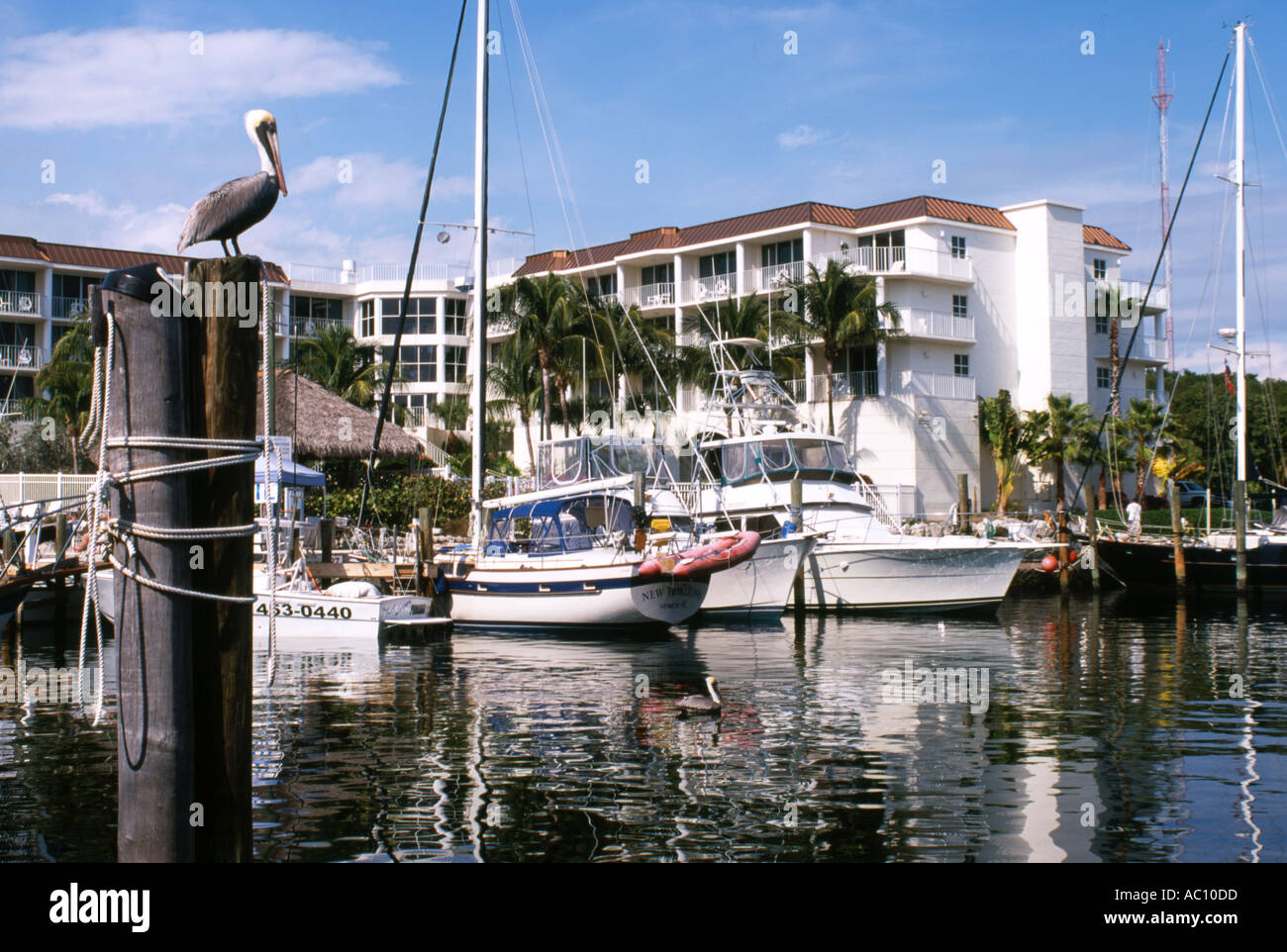 É.-u. Key Largo Banque D'Images