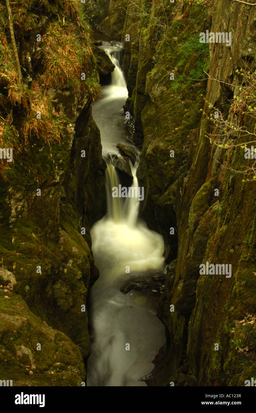 Baxenghyll River Gorge, Doe, Ingleton Banque D'Images