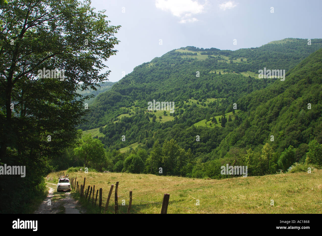 Vallée de la Tolminka dans le parc national du Triglav près de Tolmin Slovénie Banque D'Images