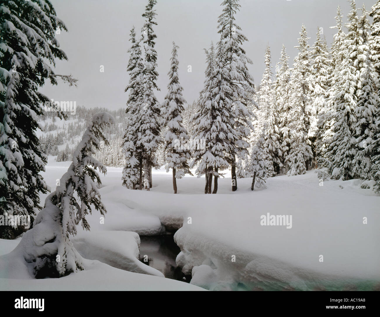 Scène d'hiver profonde près de Todd Lake dans le centre de l'Oregon Banque D'Images