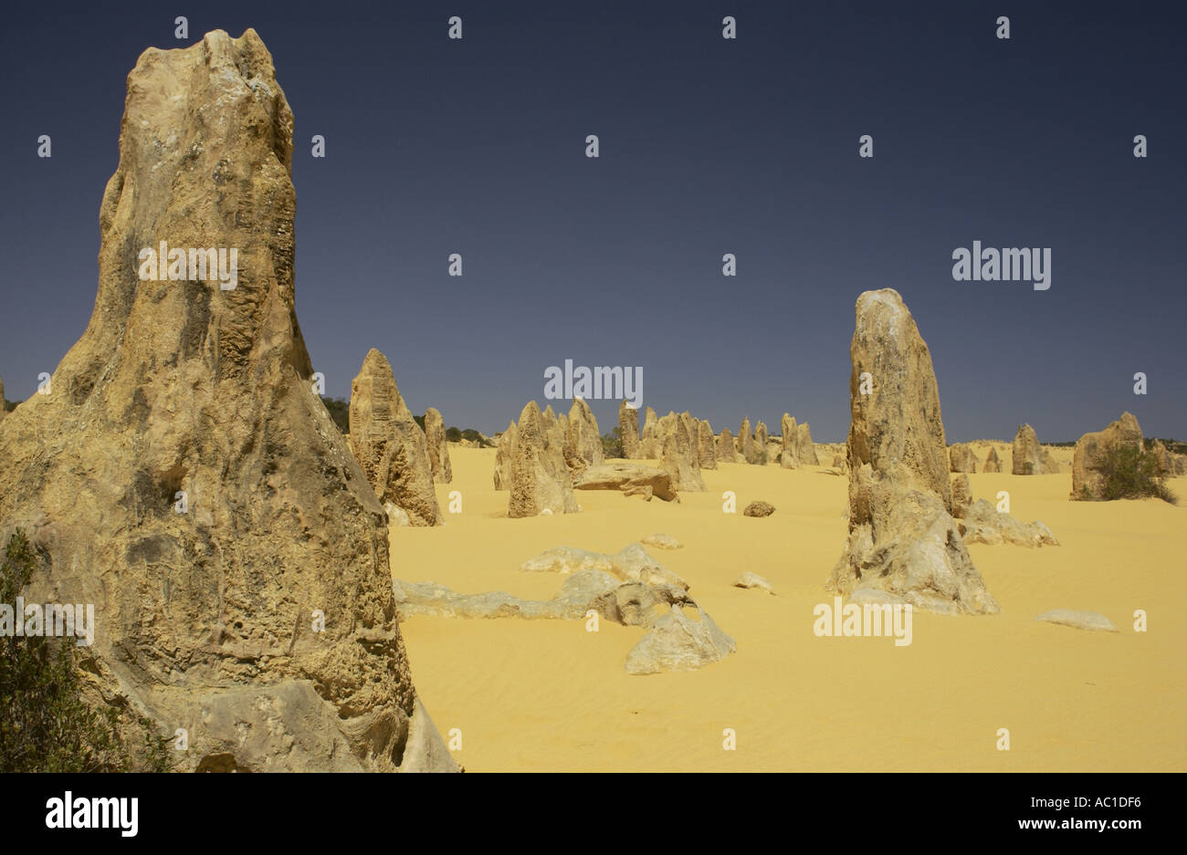 Désert des Pinnacles dans le Parc National de Nambung en Australie de l'Ouest Banque D'Images