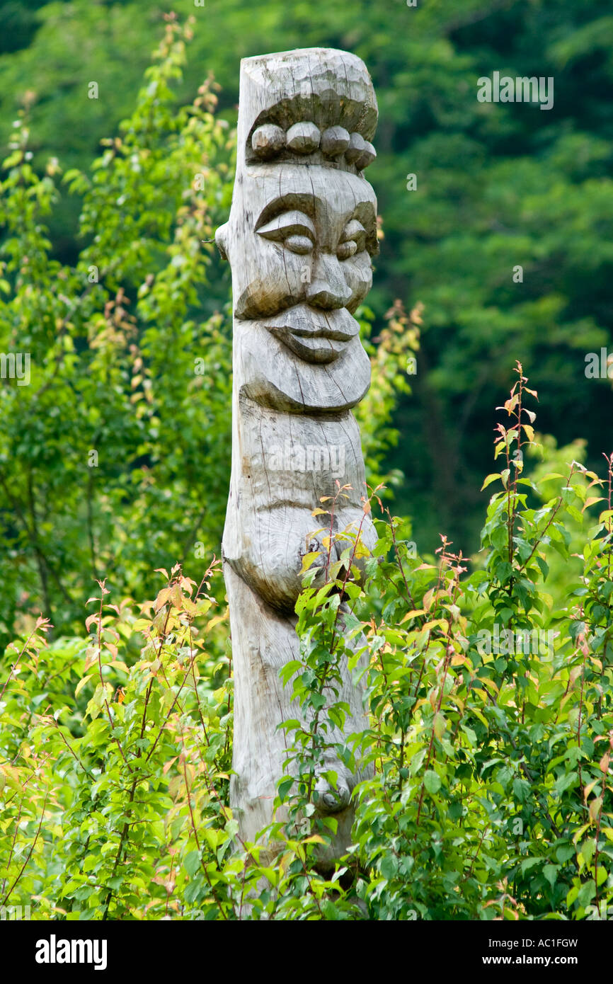 Les totems en bois sculpté traditionnel coréen Chungcheongbuk n Province de la Corée du Sud Banque D'Images