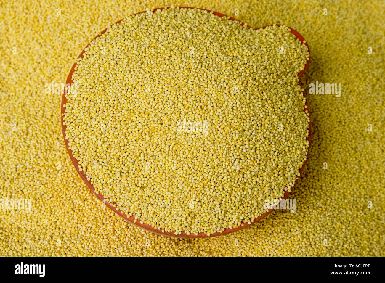 Marché à grains jaunes Chungcheongbuk n Province de la Corée du Sud Banque D'Images
