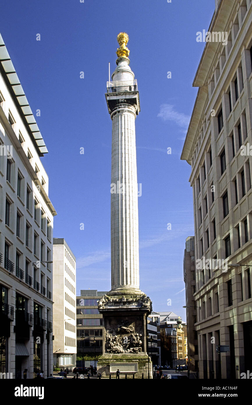 Le monument au grand incendie de Londres qui s'est passé en 1666. Banque D'Images