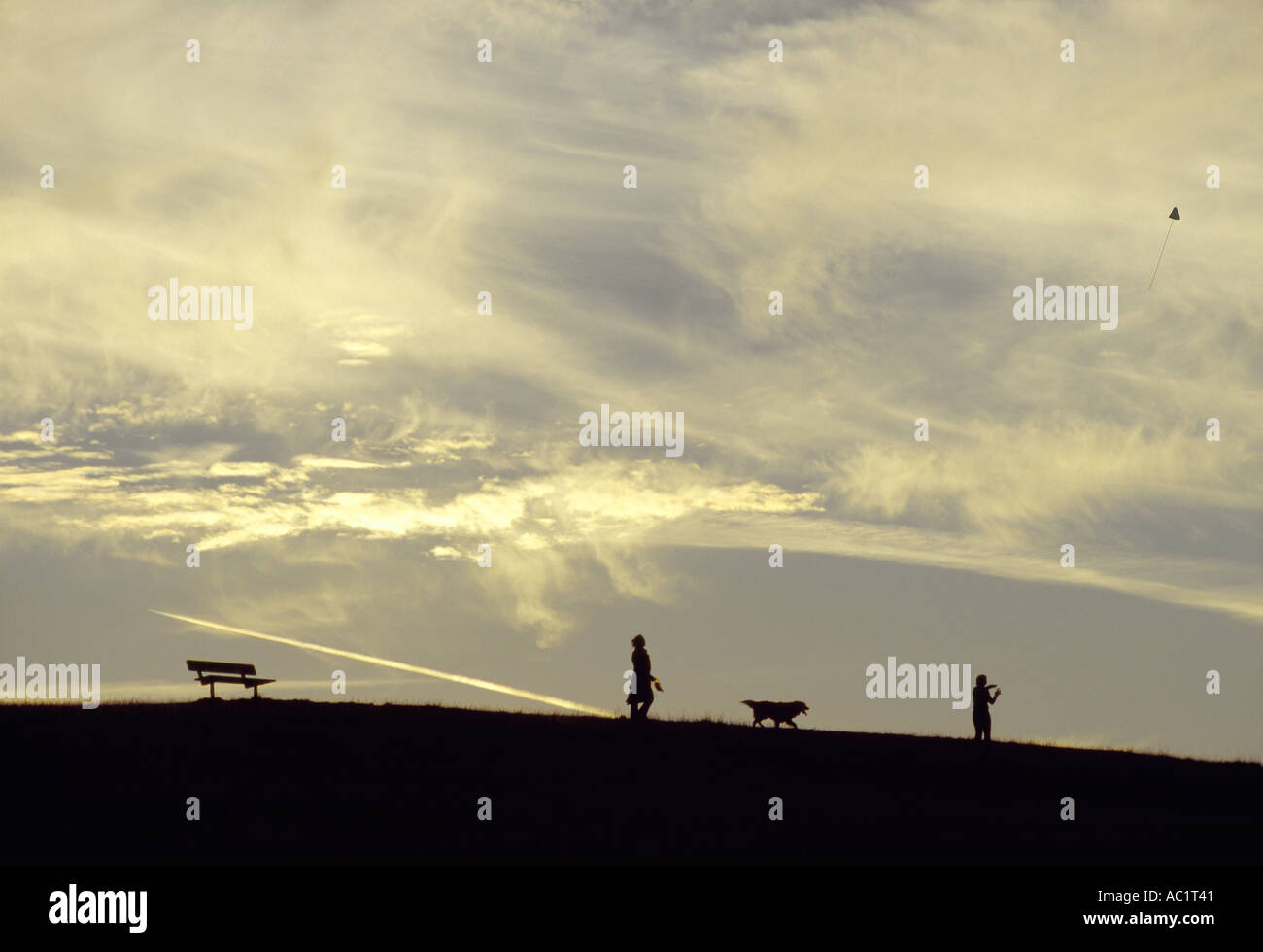 La colline du Parlement, le cerf-volant du nord de Londres, Angleterre Banque D'Images