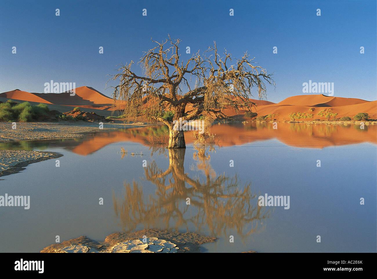 De rares inondations à Sossusvlei rempli d'eau après la pluie plus de 30 ans dans le Parc National de Namibie Namib Naukluft Banque D'Images