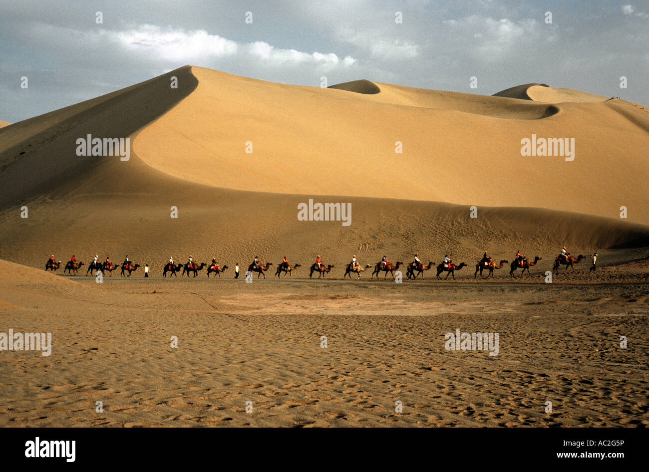 12 juillet 2006 - caravane de chameaux à travers le désert à l'Mingsha Shan en Chine du sud du Gobi. Banque D'Images