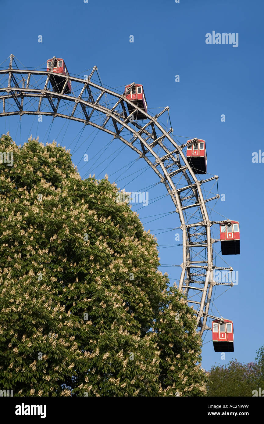 Grande Roue du Prater de Vienne Autriche au printemps fleurs de châtaigniers Banque D'Images