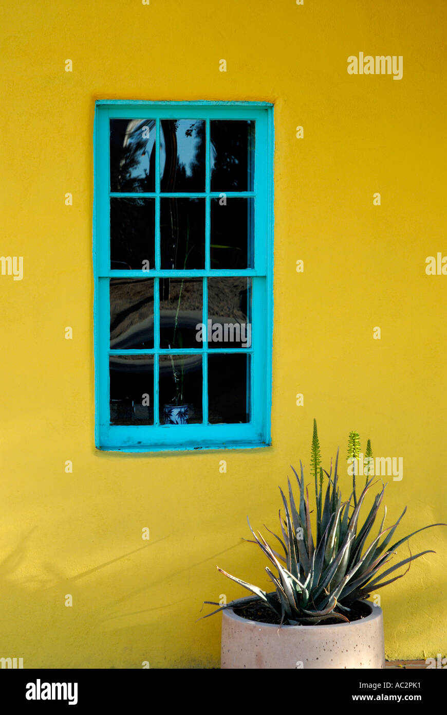Coloré mur et fenêtre, maison de style adobe, le quartier historique, centre-ville de Tucson, Arizona, USA Banque D'Images