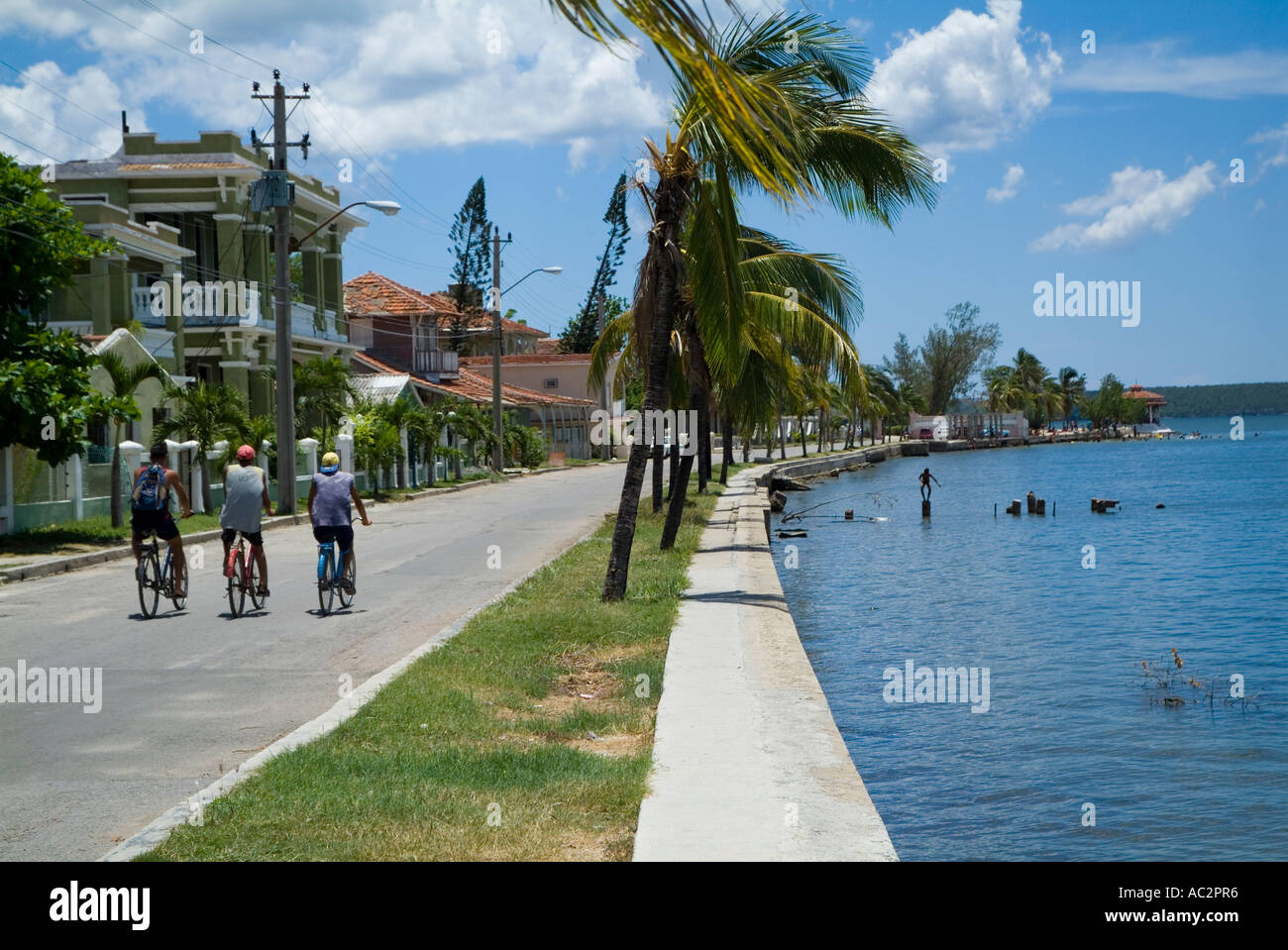 Les hommes randonnée à vélo le long de la rue ensemble par la baie de Cienfuegos, Cuba, Punta Gorda. Banque D'Images