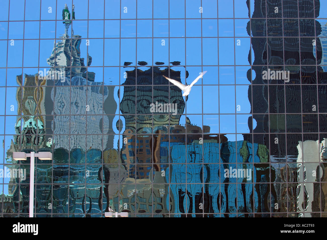 Dans la réflexion sur la ville de tours en verre avec les mouettes Toronto Banque D'Images