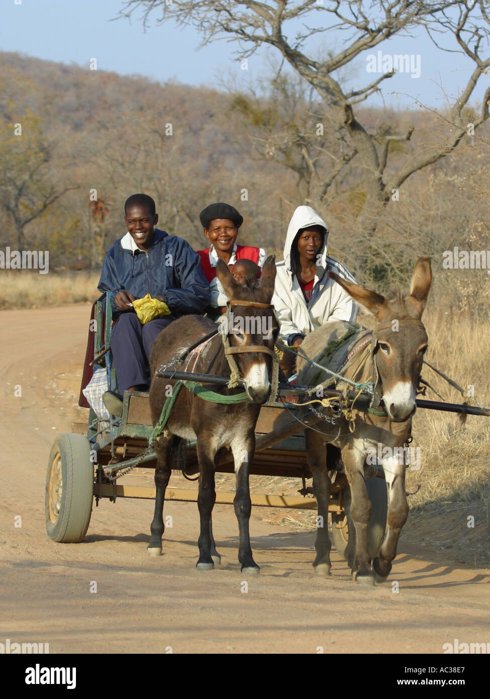 Des ânes avec des passagers sur la route rurale en Afrique du Sud Banque D'Images