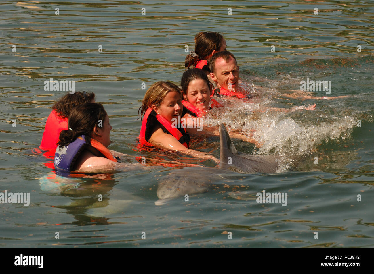 Tourist vous amuser en nage dauphins par eux au Mexique. Banque D'Images