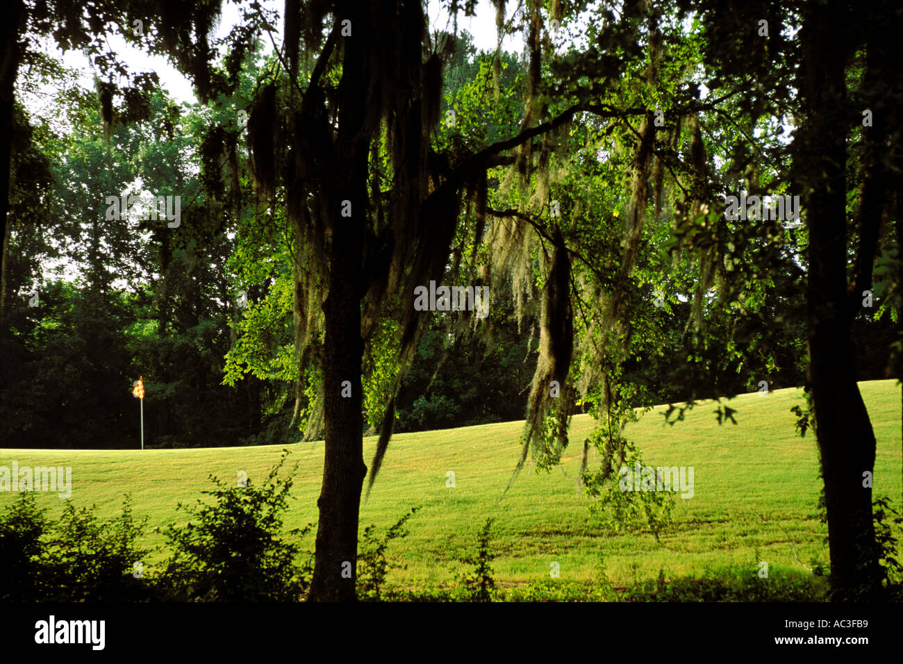 L'Alabama, Robert Trent Jones Golf Trail, Prattville, Capitol Hill, mousse espagnole Banque D'Images