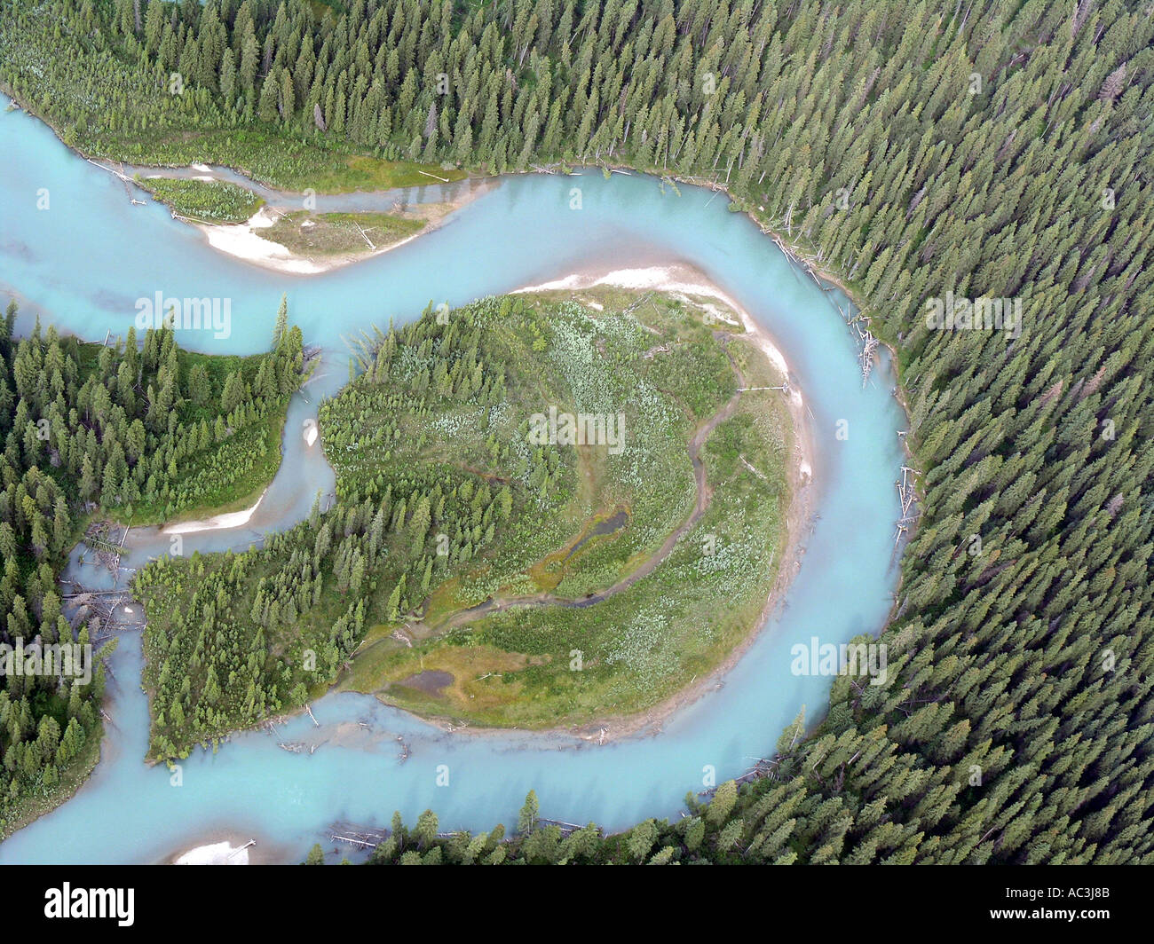 Bow River, en Alberta, prend un demi-tour d'oxbow au milieu d'une forêt de pins dans les Rocheuses canadiennes, au Canada, en Amérique du Nord Banque D'Images