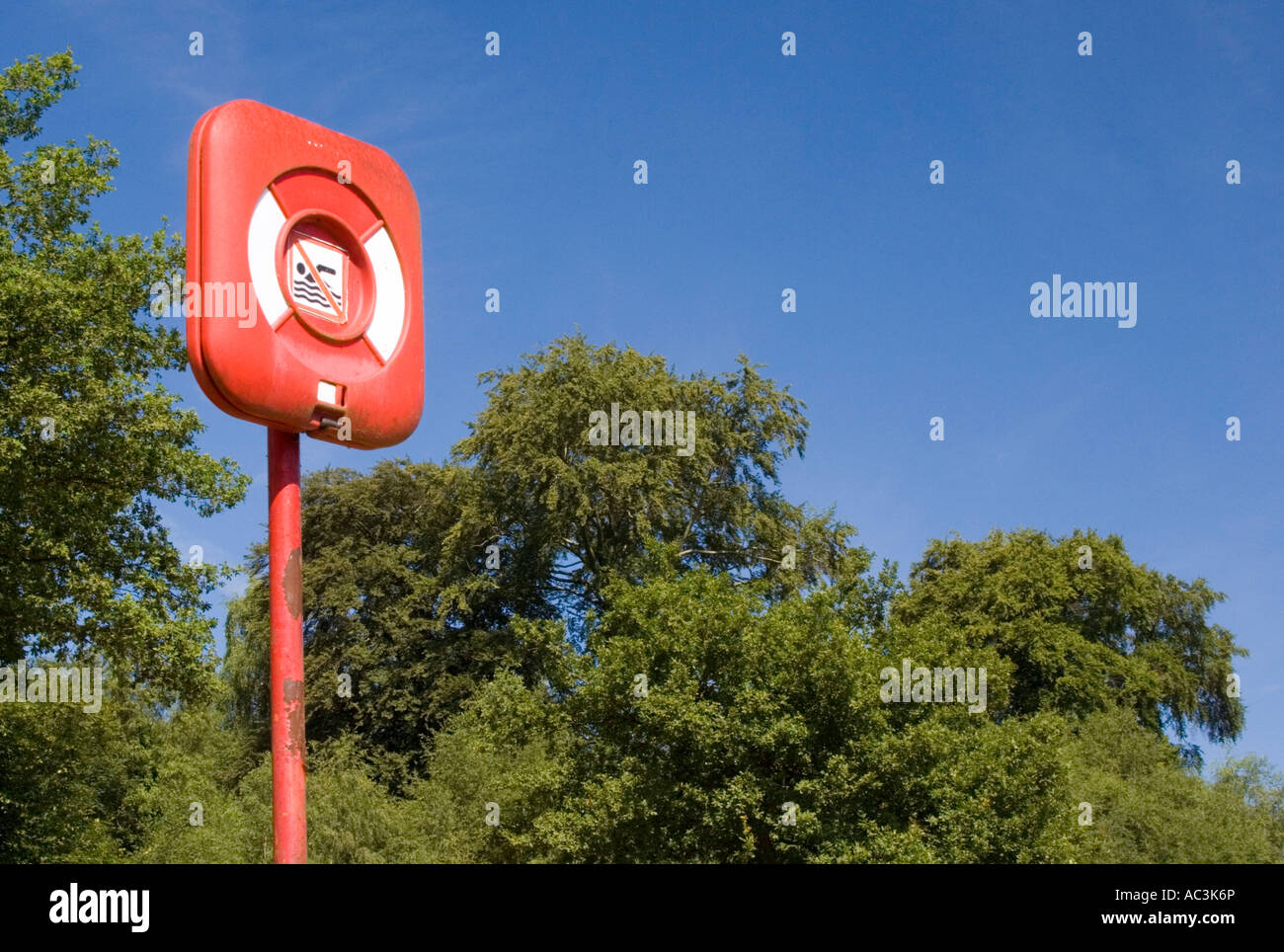 Bouée rouge set contre un arbre pans de ciel bleu Banque D'Images