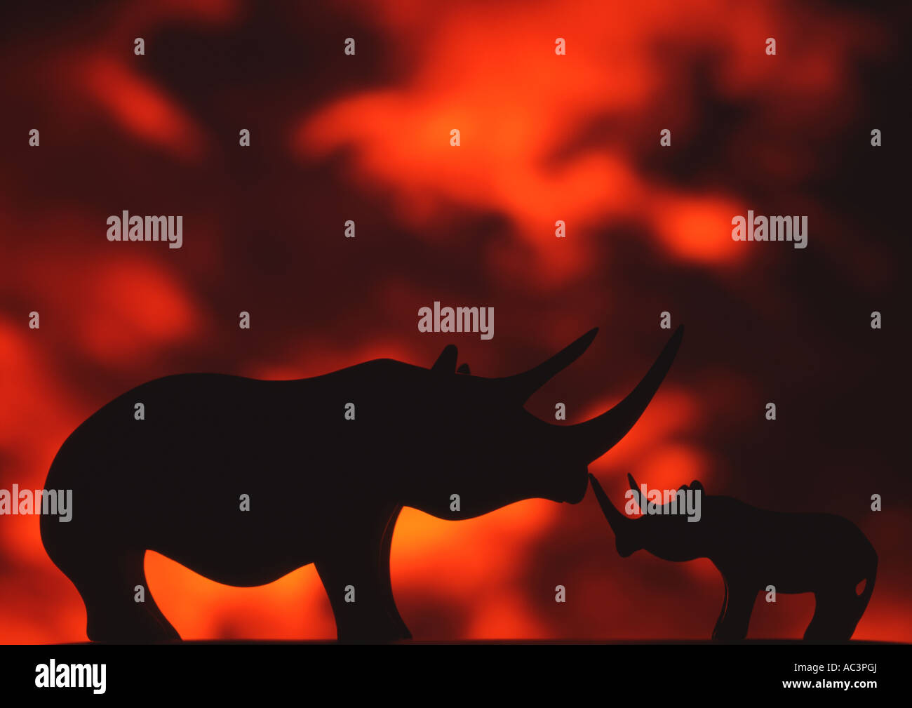 Rhinocéros en bois contre le coucher du Soleil La vie toujours mis en place (Moyen format) Banque D'Images