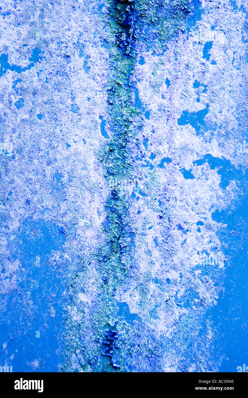 Motif texturé de couleur de rouille et les algues sur les feuilles d'acier Banque D'Images