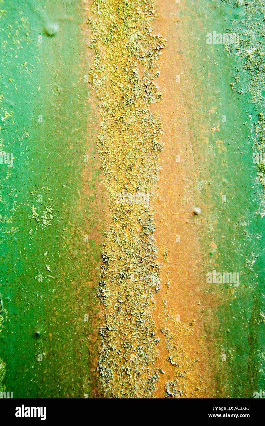 Motif texturé de couleur de rouille et les algues sur les feuilles d'acier Banque D'Images