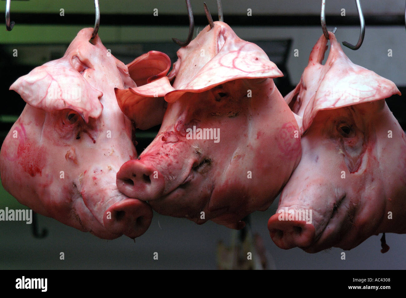 Les têtes de porcs à vendre dans la section de viande marché Queen Victoria Melbourne Australie Victoria Banque D'Images